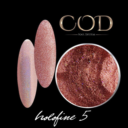 Paillettes Holofine 5