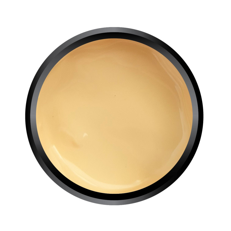 Paint Gel Light Yellow