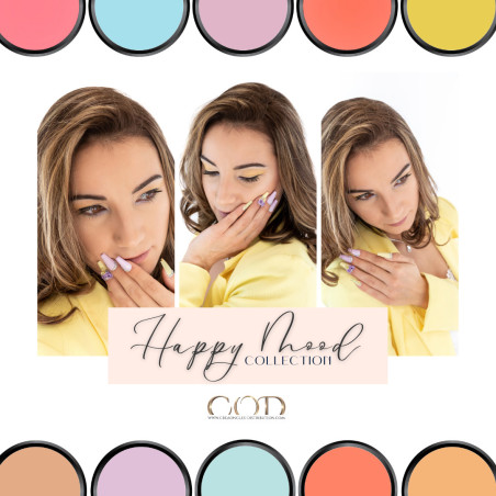 Box Happy Mood Collection & nuancier image de couverture